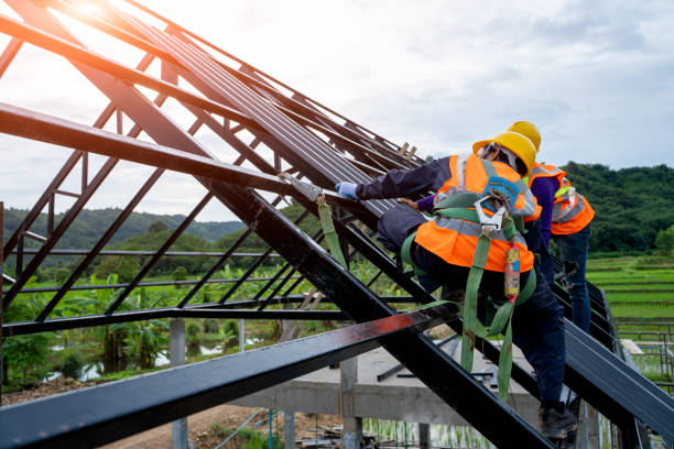 Best Roofing Contractor Near Me  in Telford, TN