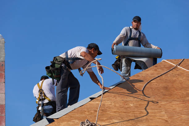 Best Best Roofing Contractors  in Telford, TN