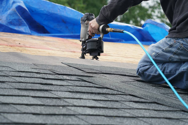 Best Storm Damage Roof Repair  in Telford, TN